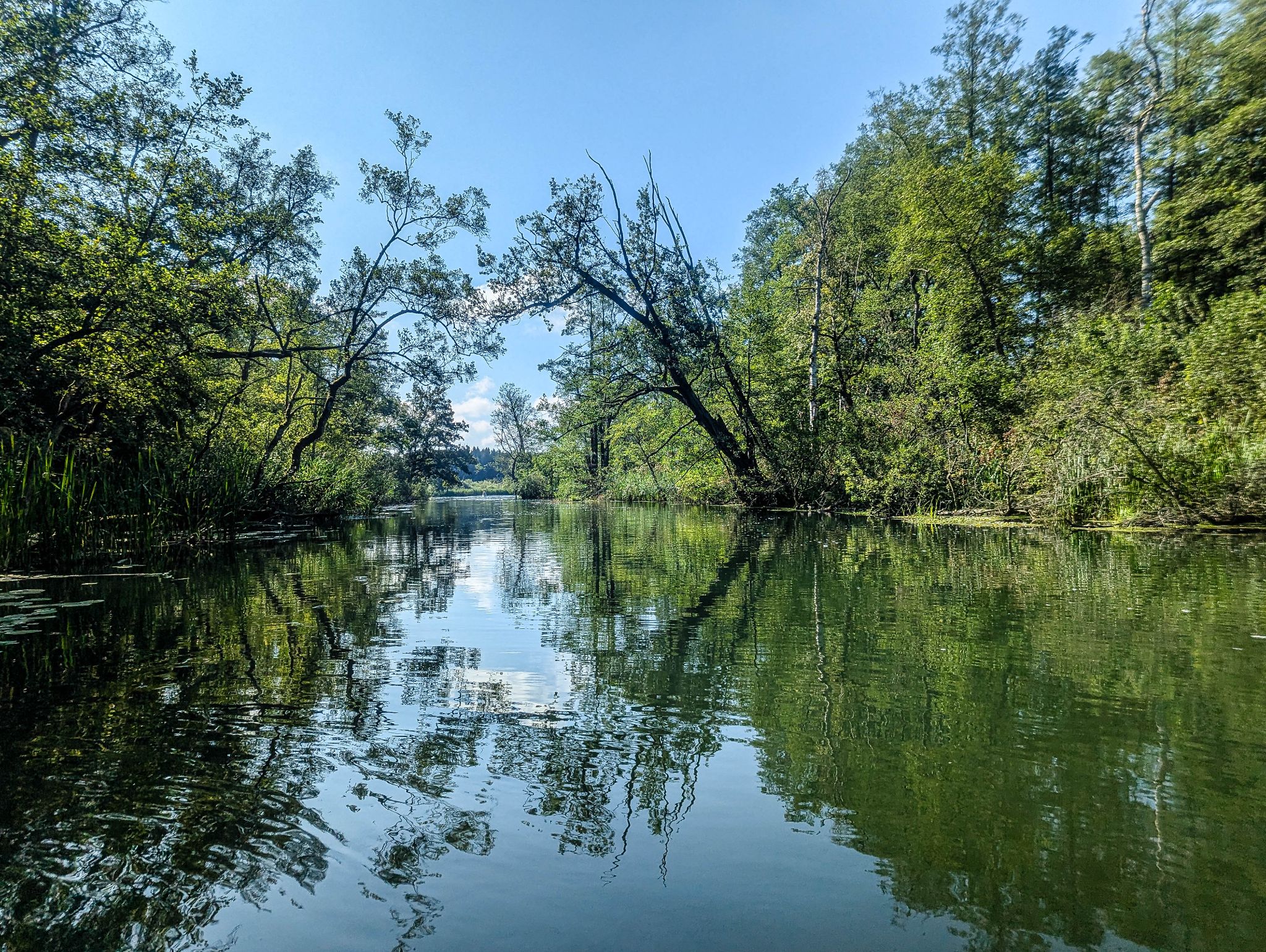 Kajaktour Leutstettner Moos 15.08.2024